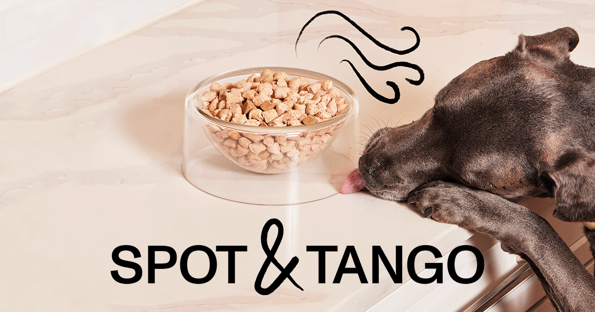 Spot & Tango